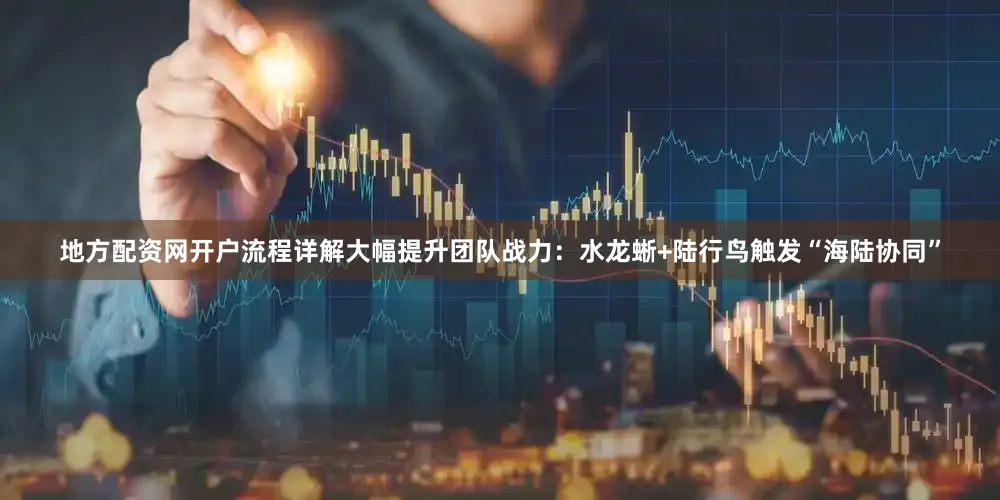 地方配资网开户流程详解大幅提升团队战力：水龙蜥+陆行鸟触发“海陆协同”