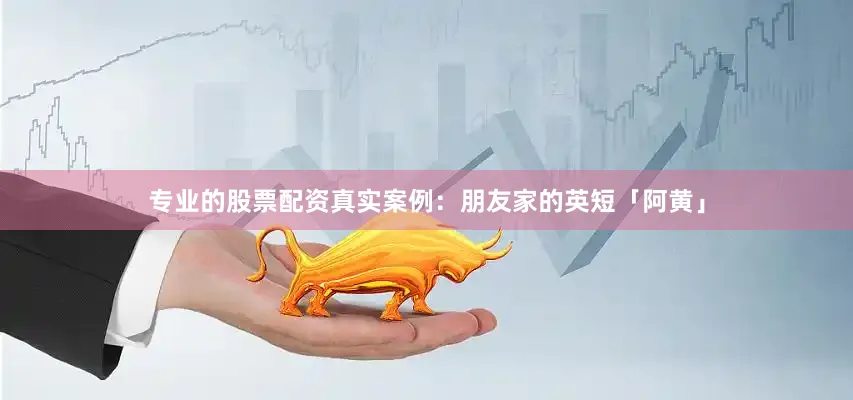 专业的股票配资真实案例：朋友家的英短「阿黄」