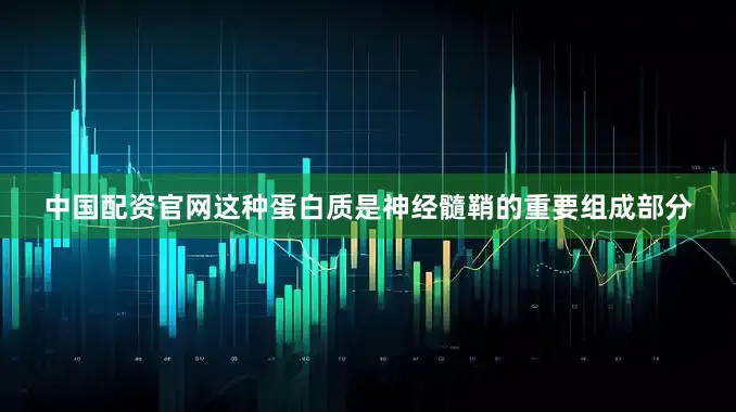 中国配资官网这种蛋白质是神经髓鞘的重要组成部分